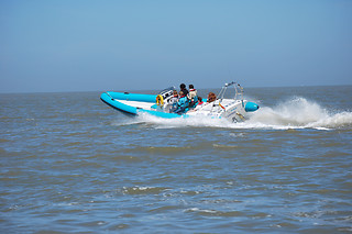 Tour en bateau offshore pour 1 groupe - Wavefun - Blankenberge (Flandre occidentale)
