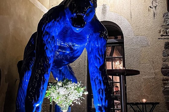 le gorille bleu - photo 6