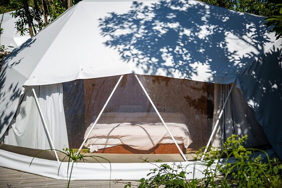 Quinta do Abacate Glamping Park - photo 2