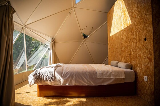 Quinta do Abacate Glamping Park - photo 5