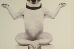 Joel Deschenaux / Baan massages