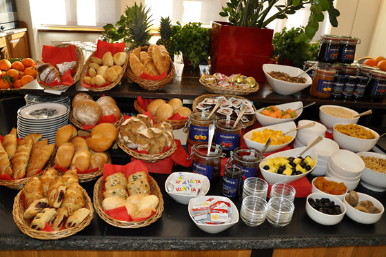 Hotel Bellinzona Sud - photo 2