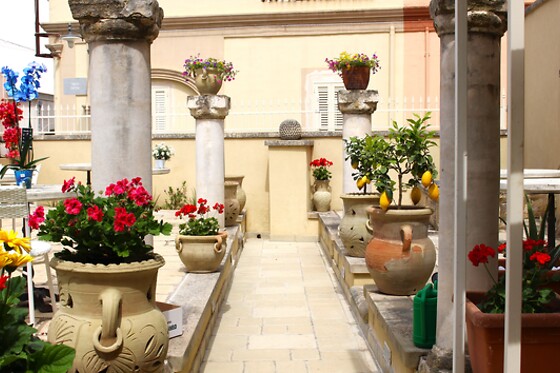 Riserva dei Felici - photo 2