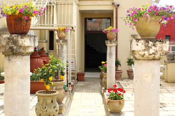 Riserva dei Felici - photo 3