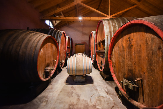 Domaine Brand et Fils - photo 2