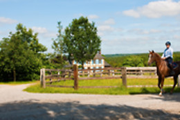 Haras du Loup