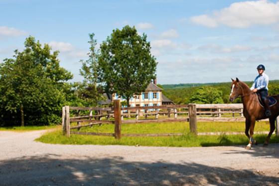 Haras du Loup - photo 2