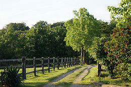 Haras du Loup