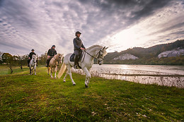 Haras du Loup