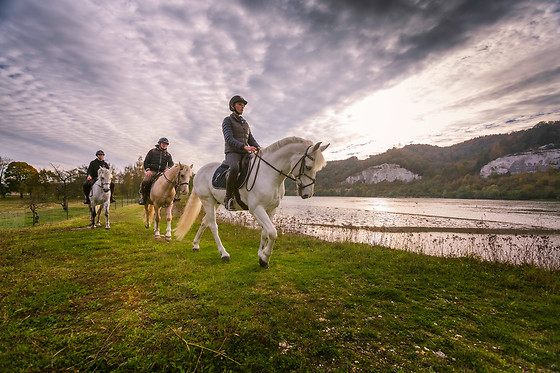 Haras du Loup - photo 5