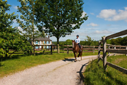 Haras du Loup