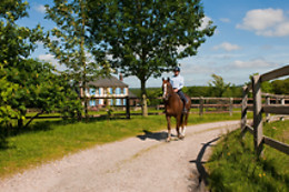 Haras du Loup