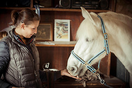 Haras du Loup