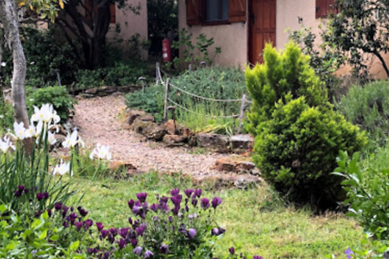 LA CERCA DEL ALCORNOQUE - photo 7
