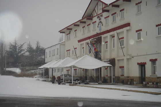 HOTEL LOS PERALES - photo 7