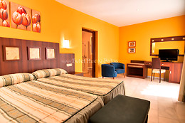 HOTEL NUEVO PALAS
