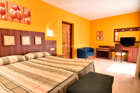 HOTEL  NUEVO PALAS - photo 9