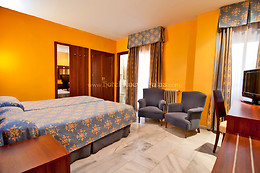 HOTEL NUEVO PALAS