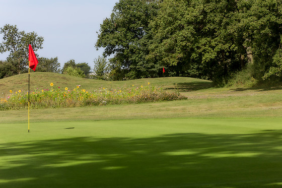 Ugolf Metz - photo 2