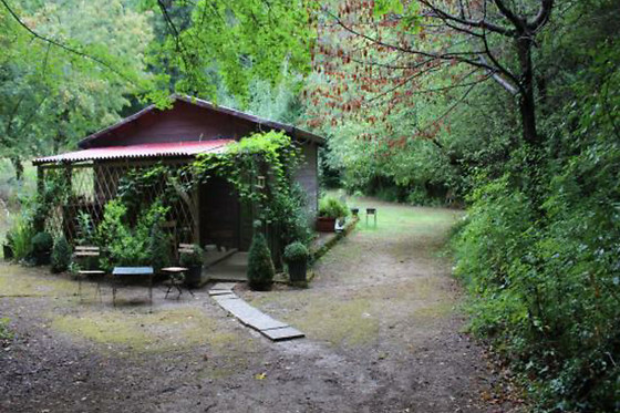 B&B Fattoria Dentro al Bosco - photo 4