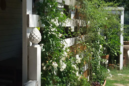 B&B Fattoria Dentro al Bosco
