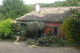 B&B Fattoria Dentro al Bosco