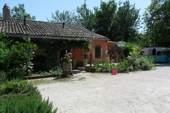 B&B Fattoria Dentro al Bosco - photo 7