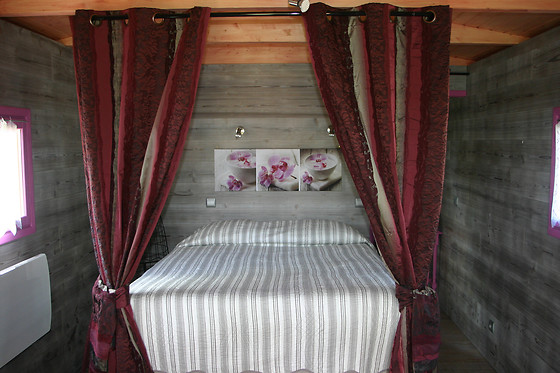 Sojapi - photo 3