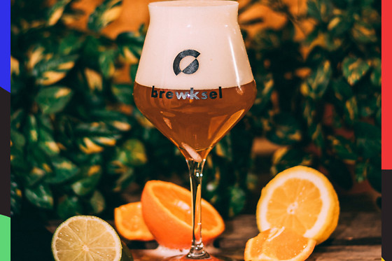 Brewksel - photo 3