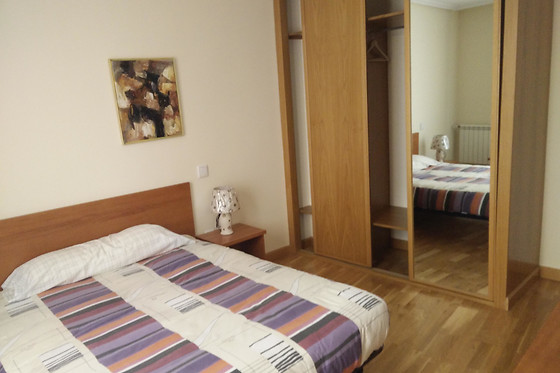 MONUMENTAL APARTMENTS SALAMANCA - photo 3