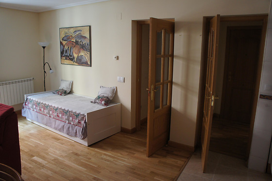 MONUMENTAL APARTMENTS SALAMANCA - photo 1