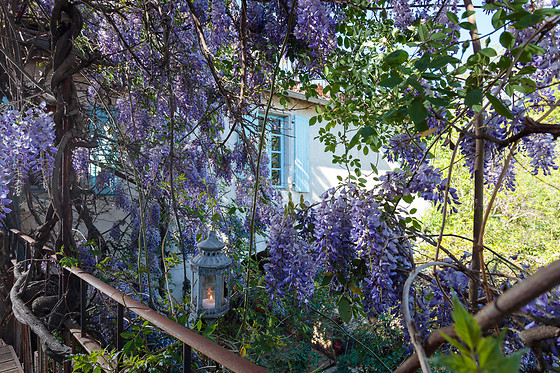 La Vieille Maison - Halte Gourmande - photo 12