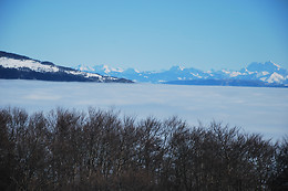 Chez louve bleue