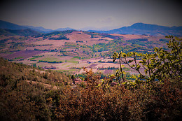Oasi di Mastarone
