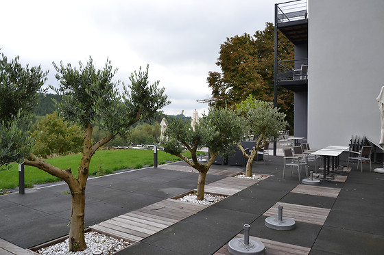 Séjour pour 2 à l'Eden Ardenne*** à Neufchâteau (pr. de Luxembourg)