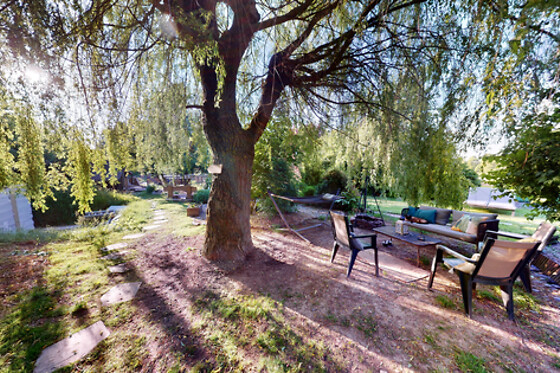 Le Souffle du Saule - photo 33