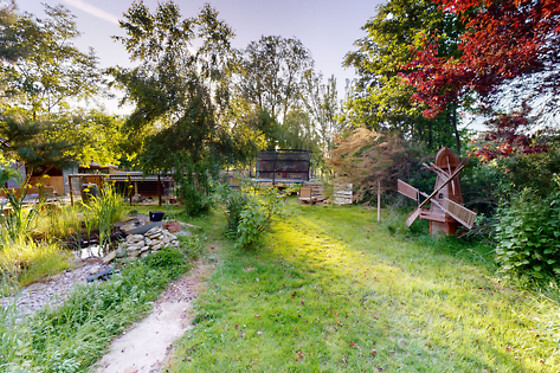 Le Souffle du Saule - photo 32