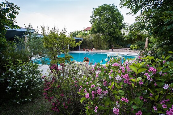 Online Booking EPS - photo 3