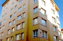 FARANDA EXPRESS PATHOS GIJON