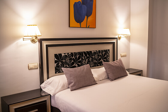 HOTEL RUA SALAMANCA - photo 2