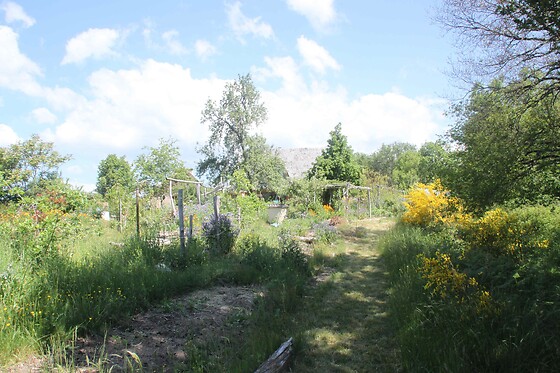 Au Jardin d'Ariane - photo 12