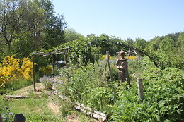 Au Jardin d'Ariane