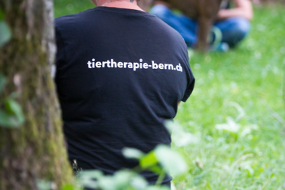 Tiertherapie Bern - photo 0