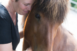 Tiertherapie Bern