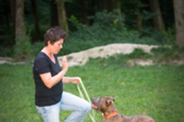 Tiertherapie Bern