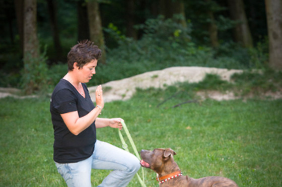 Tiertherapie Bern - photo 3