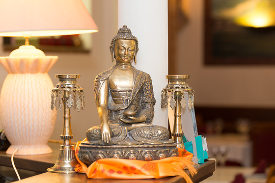 The Himalayan - photo 10