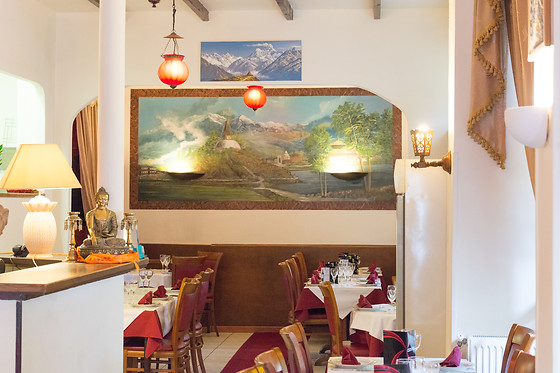 The Himalayan - photo 11
