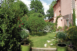 Le clos des vignes