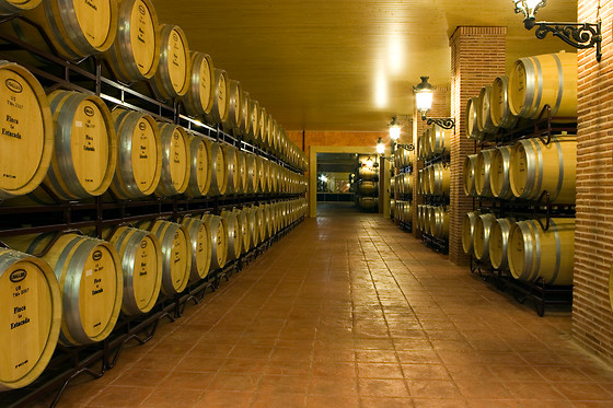 COMPLEJO ENOTURÍSTICO FINCA LA ESTACADA - photo 8